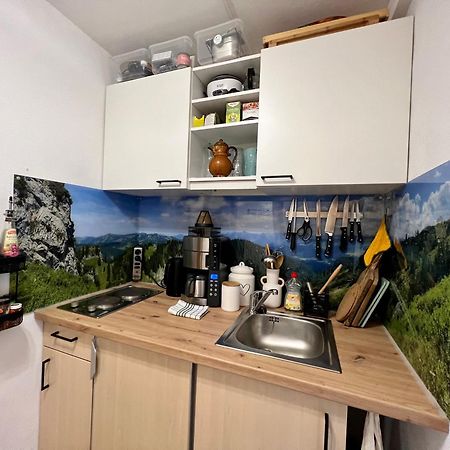 Moderne, 1-Zimmer Ferienwohnung Mit Bergblick Oy-Mittelberg Eksteriør bilde