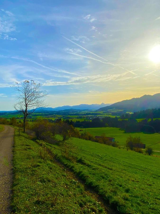 Moderne, 1-Zimmer Ferienwohnung Mit Bergblick Oy-Mittelberg Eksteriør bilde