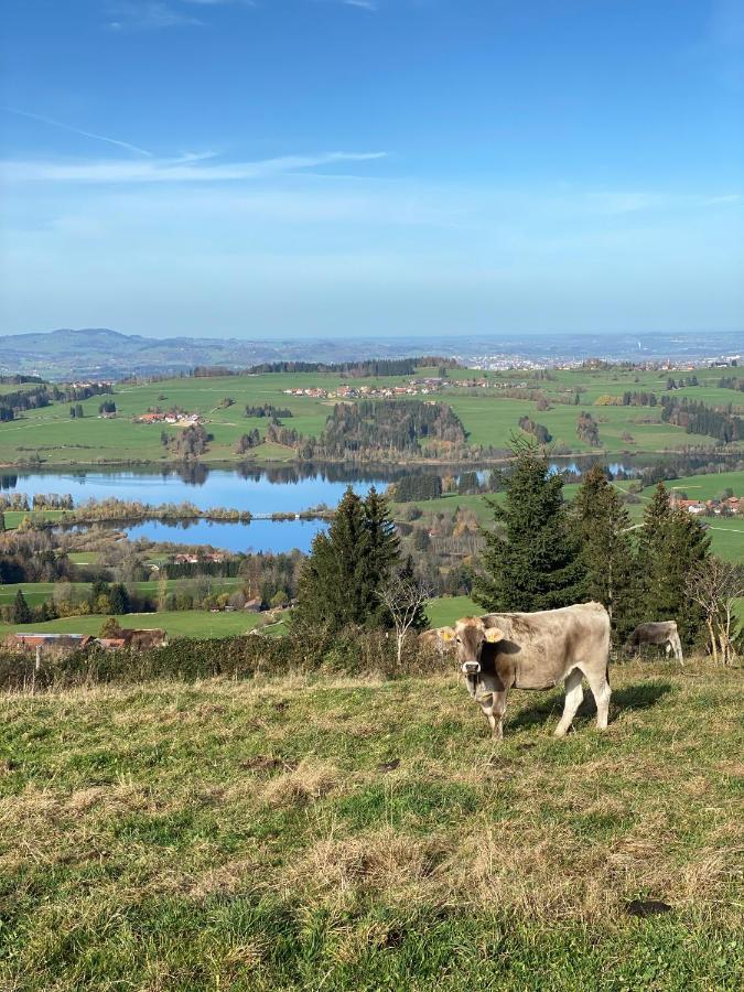 Moderne, 1-Zimmer Ferienwohnung Mit Bergblick Oy-Mittelberg Eksteriør bilde